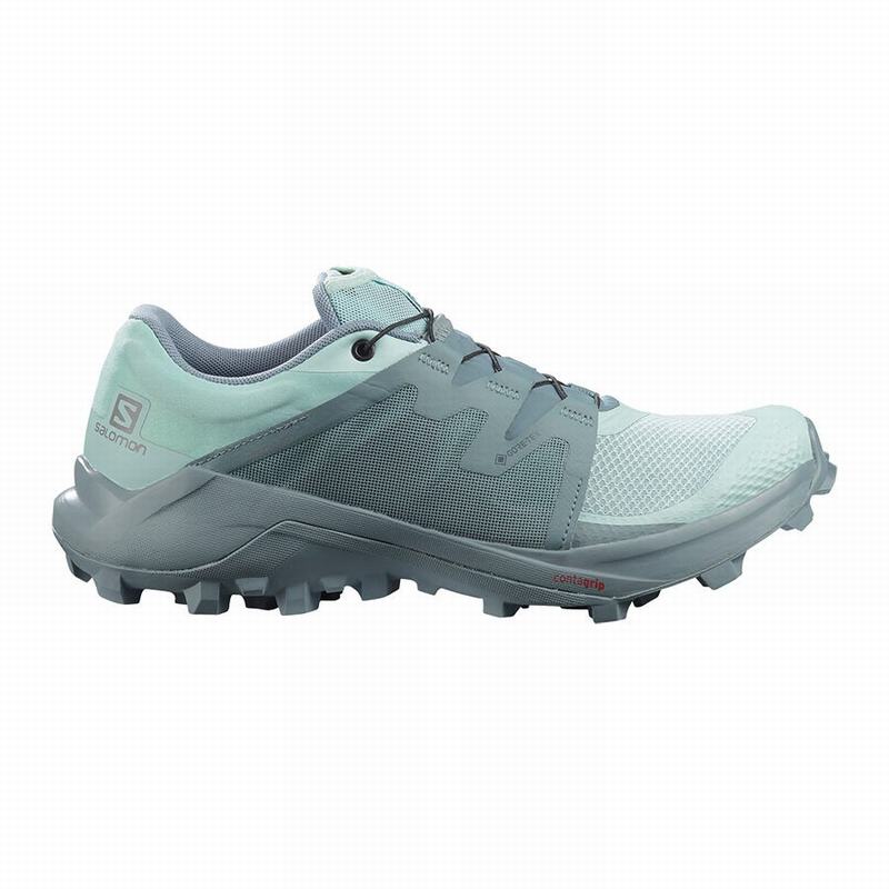 Chaussures De Trail Running Salomon Femme Turquoise / Turquoise - Salomon WILDCROSS GTX - France (89